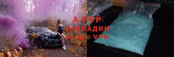 спайс Беломорск