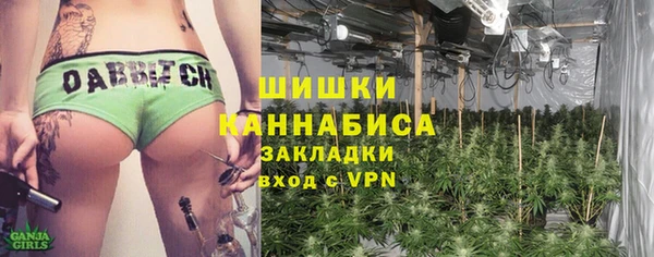 молекула духа Белоозёрский