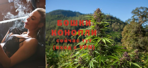 спайс Беломорск