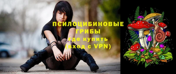молекула духа Белоозёрский