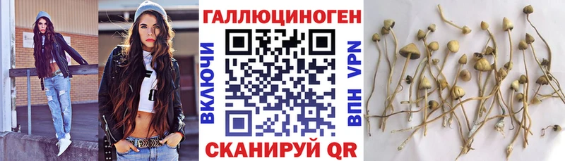 купить наркотики цена  Верхняя Тура  Галлюциногенные грибы Psilocybine cubensis 
